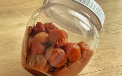 外国人に梅干しを食べさせる